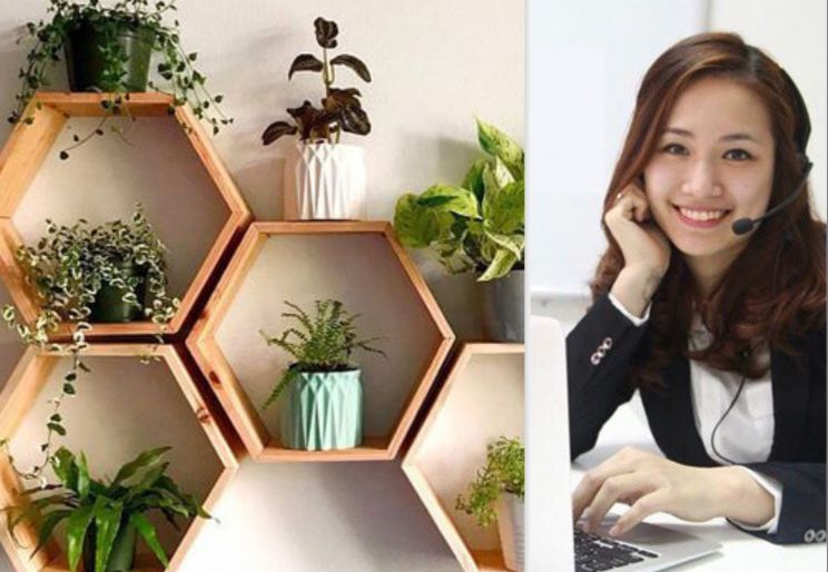 THUÊ CÂY XANH VĂN PHÒNG THẾ NÀO HIỆU QUẢ