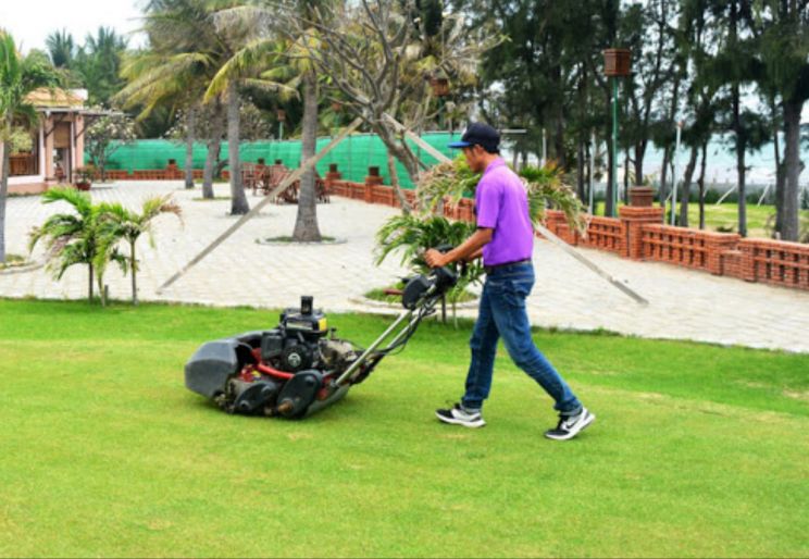 DỊCH VỤ CHĂM SÓC BẢO DƯỠNG CÂY CẢNH QUAN SÂN VƯỜN TẠI TPHCM