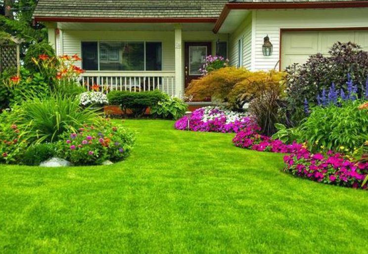TỐP ĐẦU DỊCH VỤ BẢO DƯỠNG CÂY XANH TPHCM