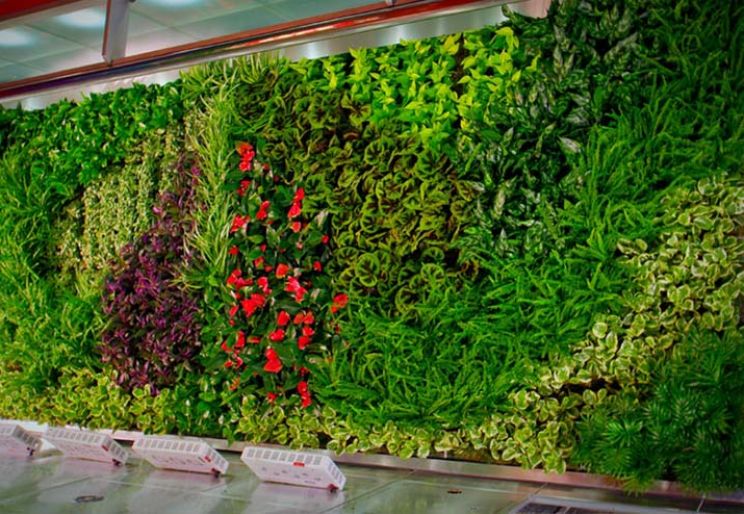 DỊCH VỤ BẢO DƯỠNG CÂY XANH VĂN PHÒNG TRỌN GÓI TẠI TPHCM - Thời Đại Xanh