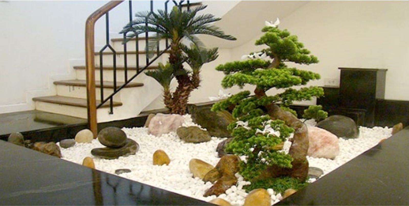 cây cảnh văn phòng